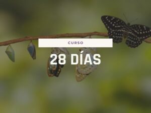 Cómo transformar tu vida en 28 días